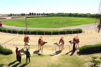 Promotion : Camel Village Dubai avec tour gratuit de Dubai