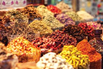 Promotion : Camel Village Dubai avec tour gratuit de Dubai