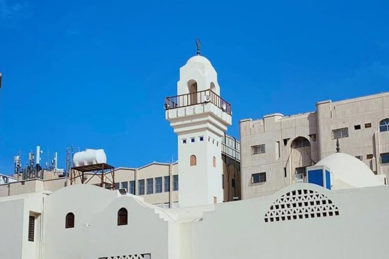 Madinah Experience without Lunch