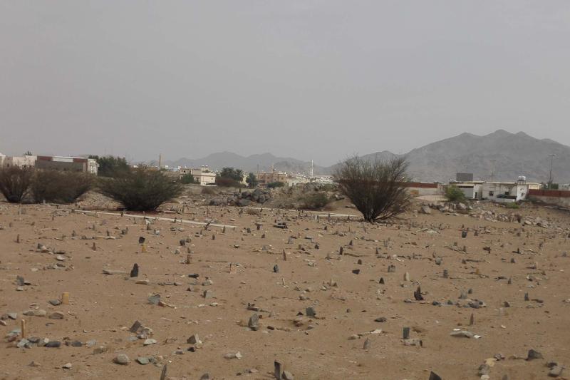 Badr Tour with lunch