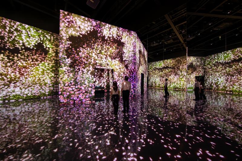 Dubai Attraction: ARTE Museum