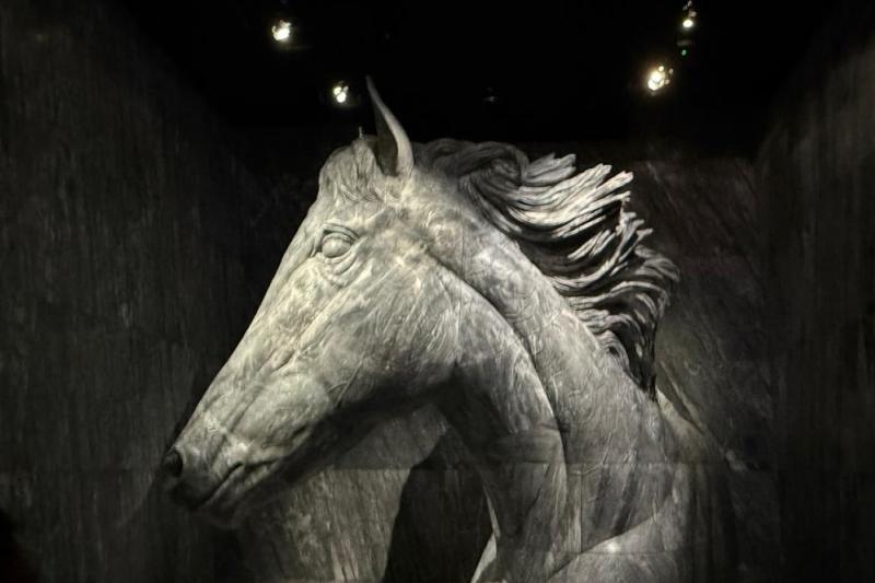 Dubai Attraction: Expo City Attraction Pass