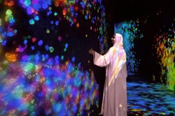Abu Dhabi Attraction: teamlab Phenomena