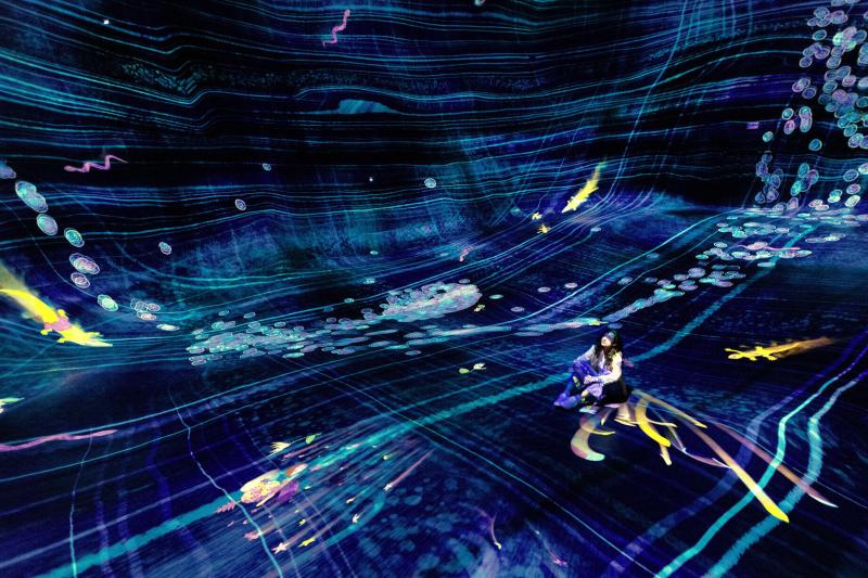 Abu Dhabi Attraction: teamlab Phenomena