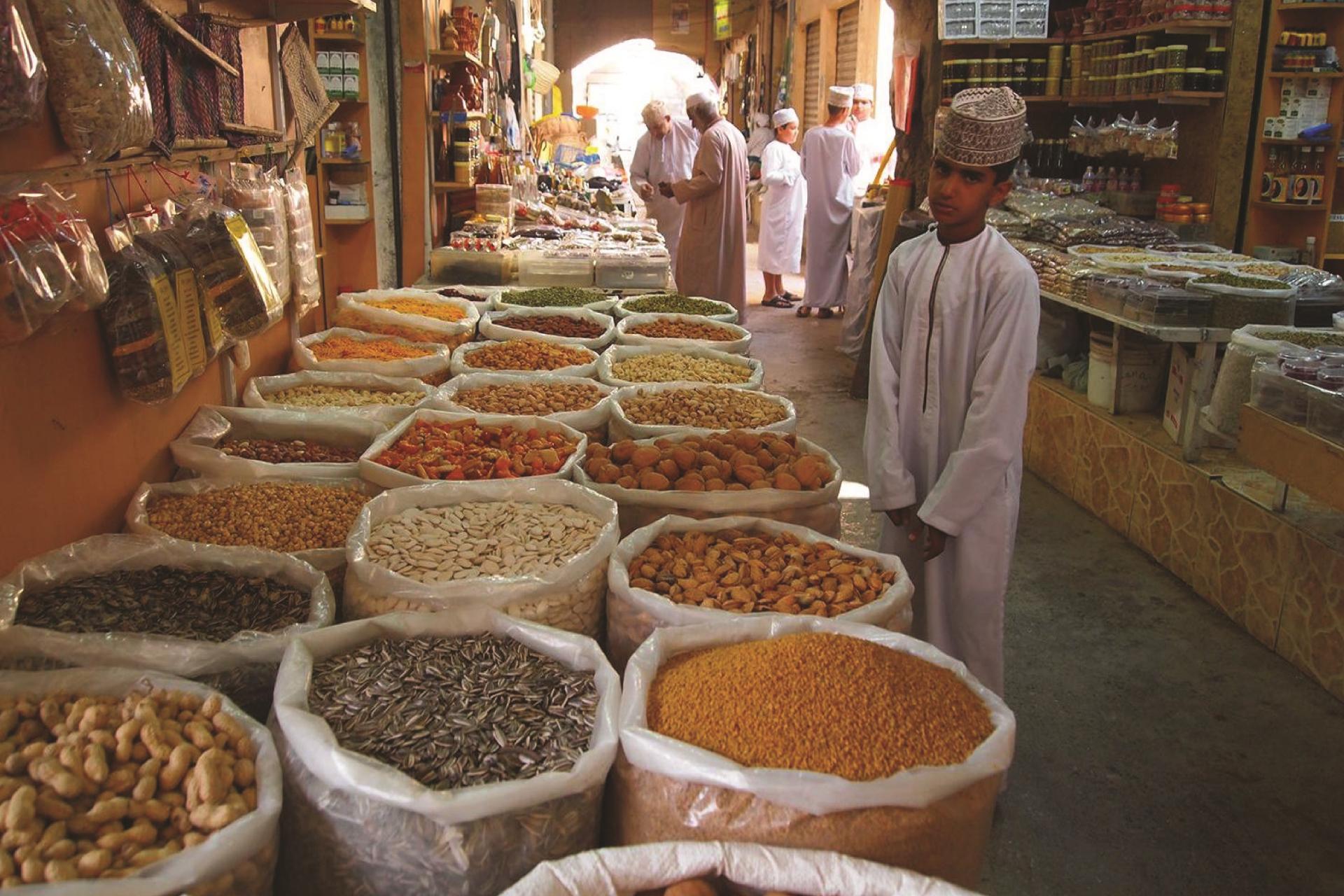 The North & Nakhl Half Day Tour: Al Thowarah Hot Springs | Nakhl Fort (Outside) | Al Bu Sayed Dynasties | Date Palm plantation | **Entrance fees to Nakhl Fort** **Pick-up/drop-off service**