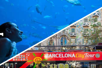 Barcelone : bus à arrêts multiples avec entrée à l'aquarium