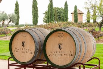 Tolède : visite d'une journée avec tapas et vin