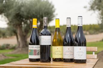 Tolède : visite d'une journée avec tapas et vin