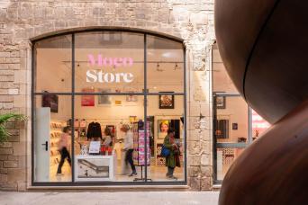 Tour en bus hop on hop off avec billets pour le musée Moco