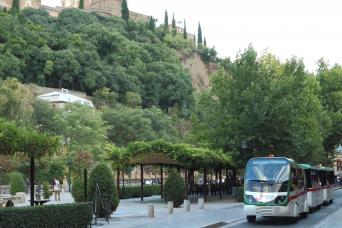 Albaicín et Sacromonte : visite guidée à pied et billet train Grenade