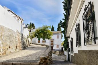 Albaicín et Sacromonte : visite guidée à pied et billet train Grenade