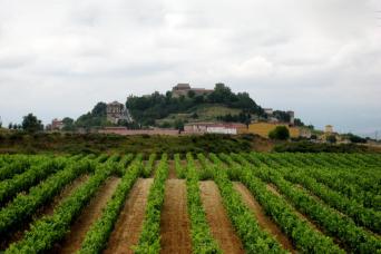 Bilbao : visite d'une journée à La Rioja et ses vignobles