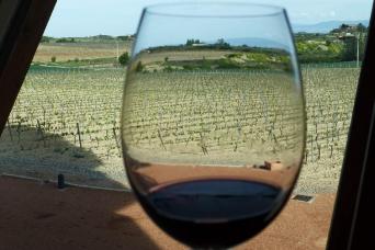 Bilbao : visite d'une journée à La Rioja et ses vignobles