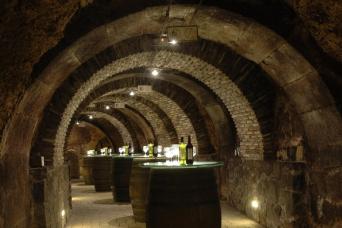 Bilbao : visite d'une journée à La Rioja et ses vignobles