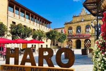 Bilbao : visite d'une journée à La Rioja et ses vignobles