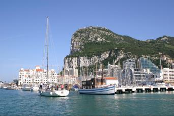 Depuis la Costa del Sol : observation des dauphins de Gibraltar