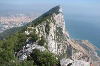 Depuis la Costa del Sol : observation des dauphins de Gibraltar