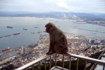 Excursion d'une journée à Gibraltar au départ de Costa del Sol