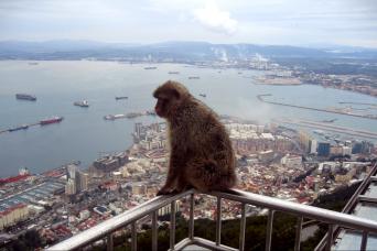 Gibraltar : Shopping journée complète