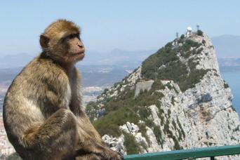 Gibraltar Express : visite d'une journée au départ de Costa Del Sol