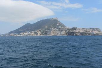 Gibraltar Express : observation des dauphins