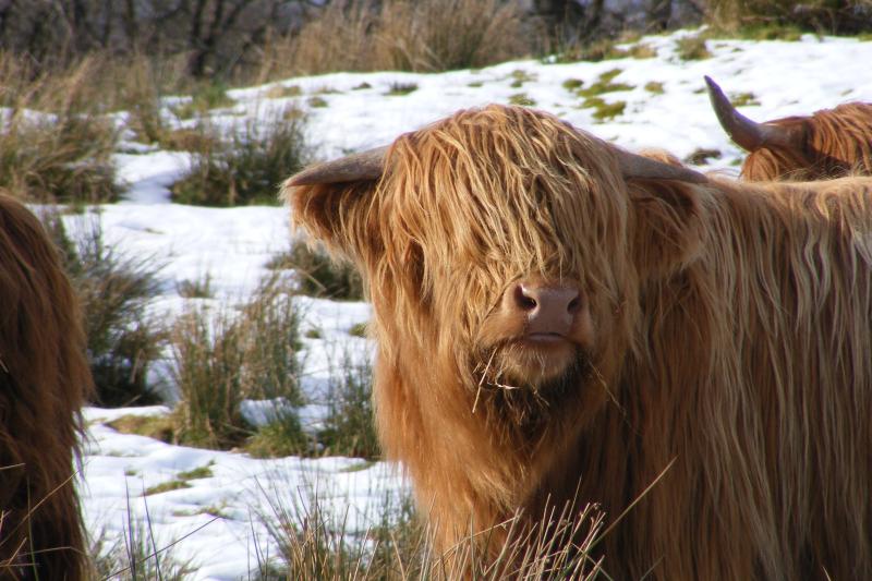 Loch Ness & The Highlands (Private Group)