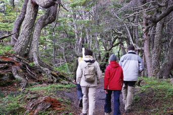 Ushuahia: trekking et aventure en canoë