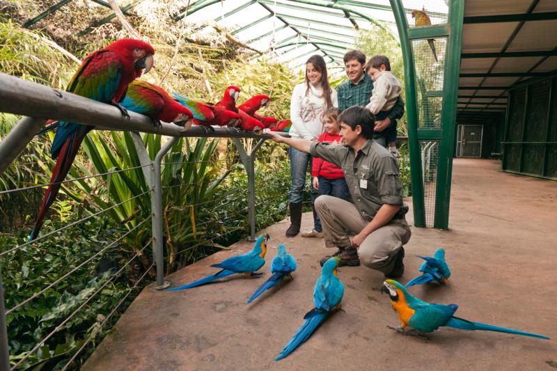 Zoo Temaiken : excursion d'une journée