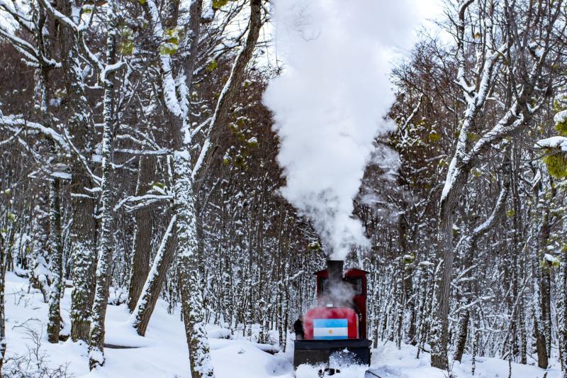 1-Day Tierra del Fuego Park Tour with the End of the World Train