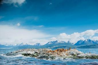 Channel Beagle, île Seals et pont