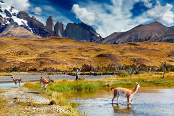 Journée complète au parc national de Torres del Paine