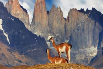 Journée complète au parc national de Torres del Paine