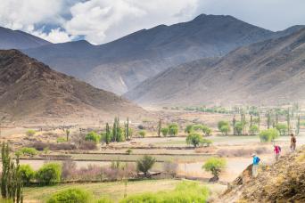 Salta: Calchaquí Valley Scenic Drive et Cachi