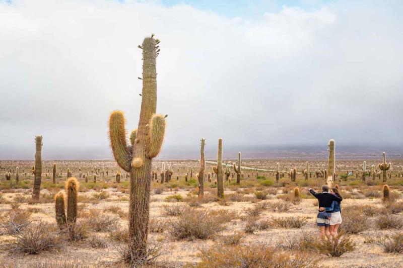 Tour a Cachi por el Parque Nacional Los Cardones con Recogida - Alloggi in Salta