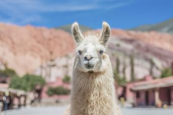 Découvrez la vallée de l'humahuaca