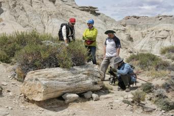 Forêt pétrifiée de la Leona: un voyage vers le passé