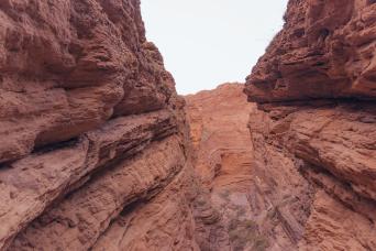 Combo: Cafayate Tour, cachi, transferts et marche