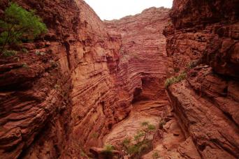 Combo: Cafayate Tour, cachi, transferts et marche
