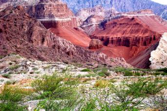 Combo: Cafayate Tour, cachi, transferts et marche