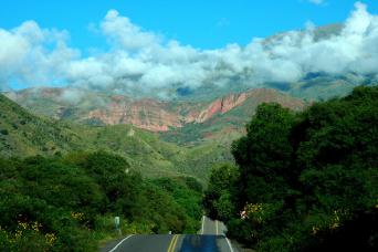 Combo: Cafayate Tour, cachi, transferts et marche