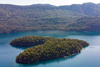 Tronador Cerro Day Full avec guide en anglais