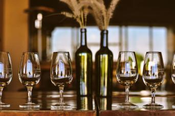 Saveurs et paysages de Mendoza: vin et olive