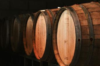Saveurs et paysages de Mendoza: vin et olive