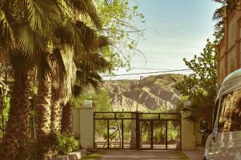 Saveurs et paysages de Mendoza: vin et olive
