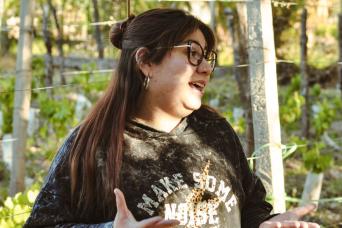 Saveurs et paysages de Mendoza: vin et olive