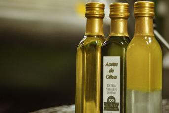 Saveurs et paysages de Mendoza: vin et olive