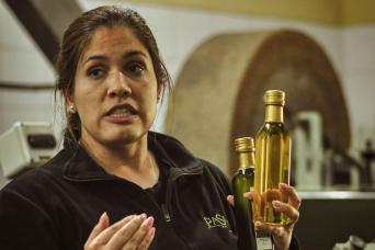 Saveurs et paysages de Mendoza: vin et olive