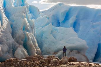 Blue Safari: une expérience unique