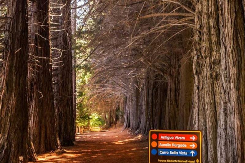 1-Day Victoria Island and Arrayanes Forest Tour with Transfers