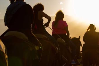Mendocino Sunset: Équitation